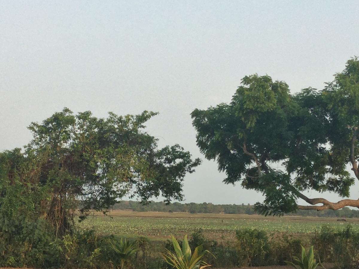Captain'S Bird Safari Lodge Puttalam Exterior foto