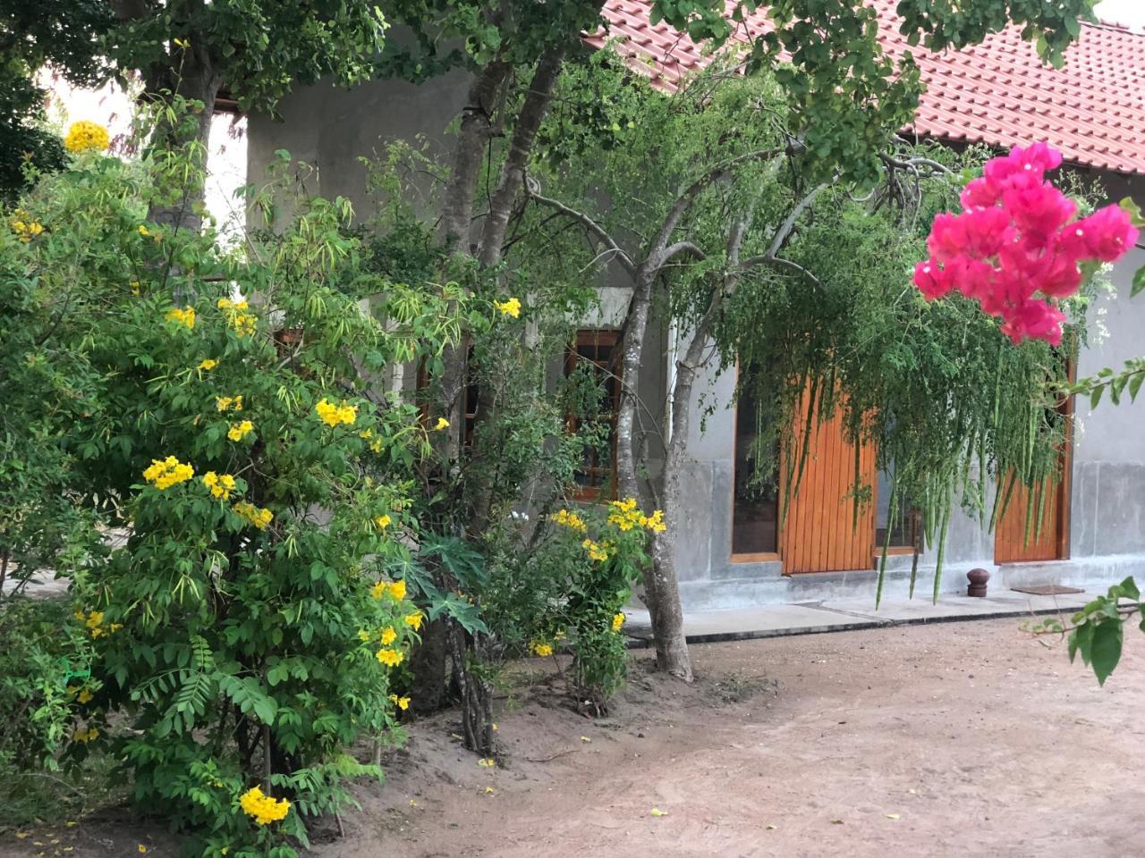 Captain'S Bird Safari Lodge Puttalam Exterior foto
