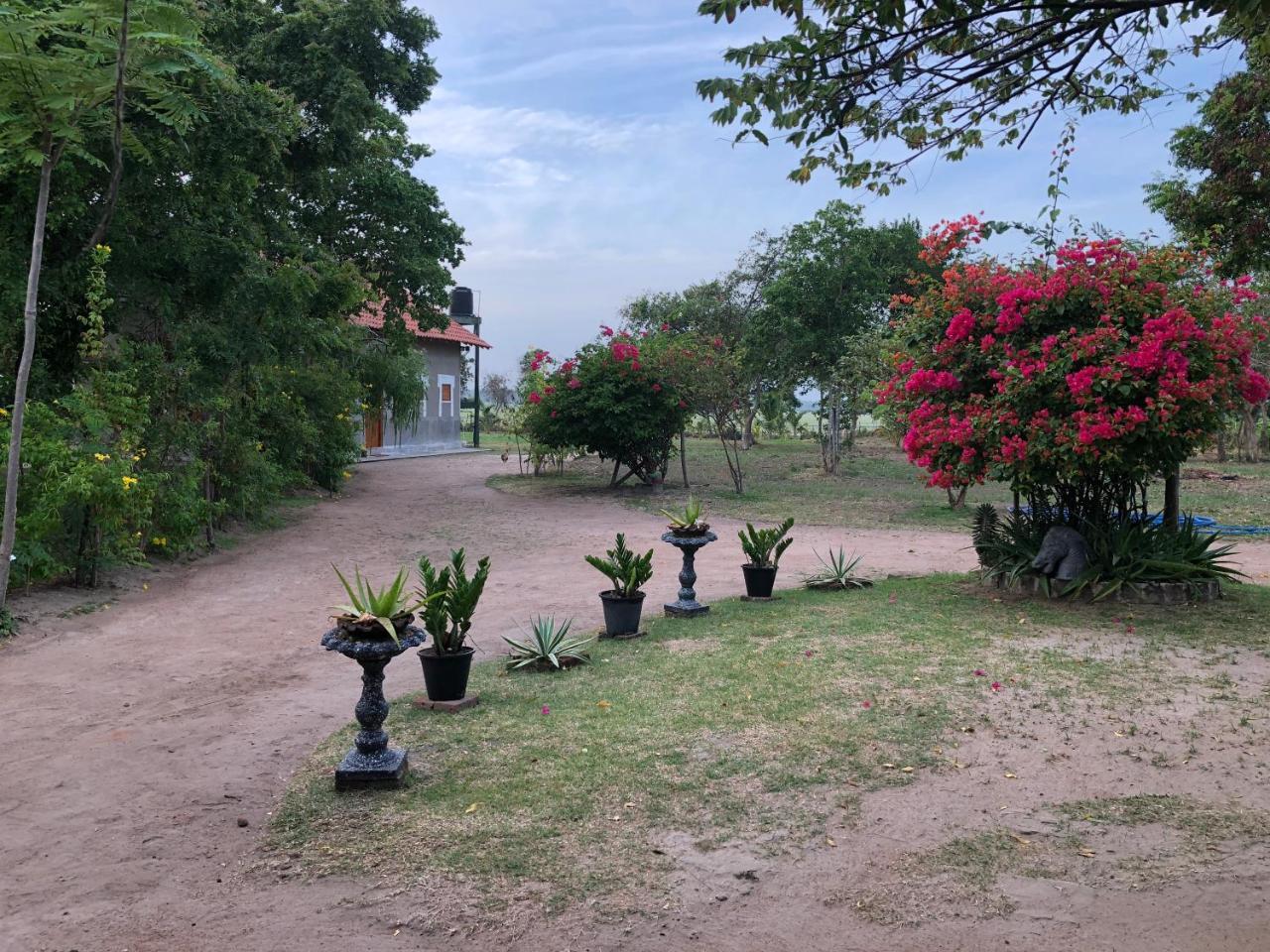 Captain'S Bird Safari Lodge Puttalam Exterior foto