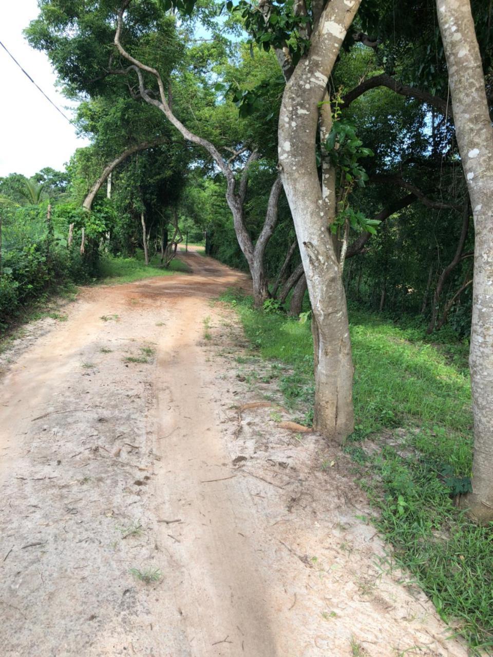 Captain'S Bird Safari Lodge Puttalam Exterior foto