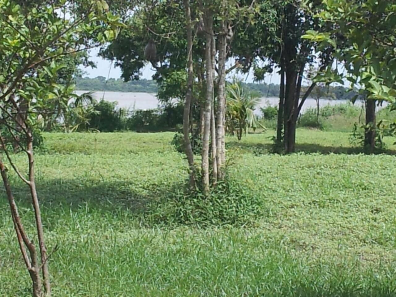 Captain'S Bird Safari Lodge Puttalam Exterior foto