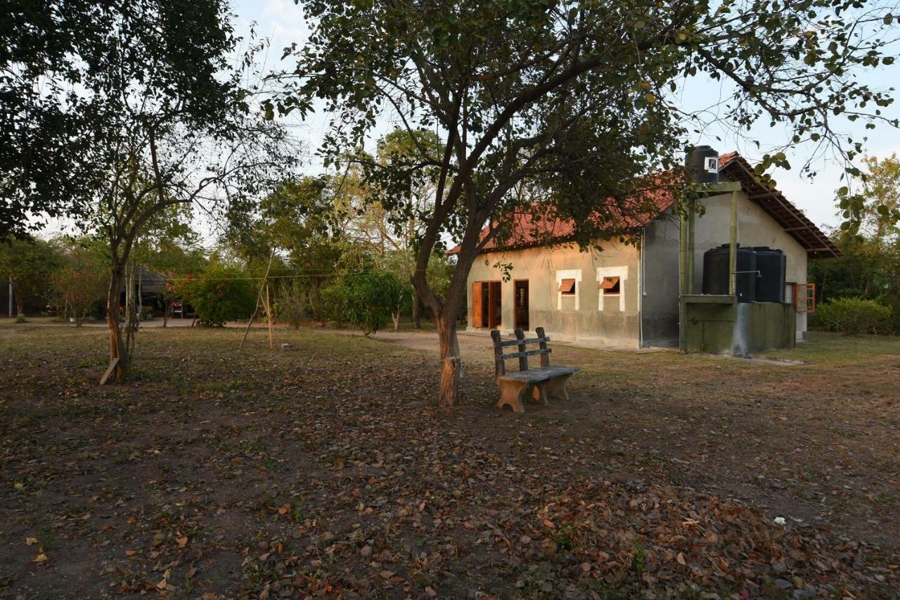 Captain'S Bird Safari Lodge Puttalam Exterior foto